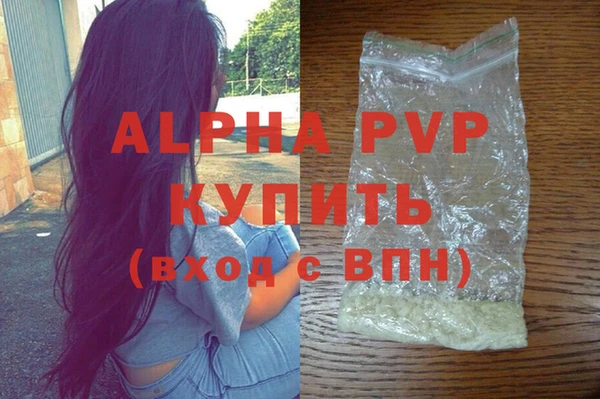 ГАЛЛЮЦИНОГЕННЫЕ ГРИБЫ Белокуриха