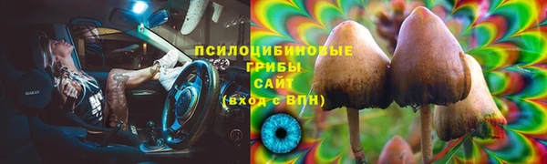 прущие крисы Беломорск