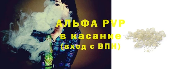 ГАЛЛЮЦИНОГЕННЫЕ ГРИБЫ Белокуриха