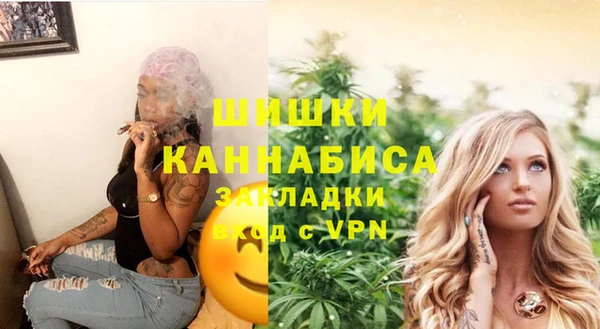 ГАЛЛЮЦИНОГЕННЫЕ ГРИБЫ Белокуриха