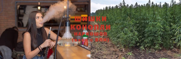 ГАЛЛЮЦИНОГЕННЫЕ ГРИБЫ Белокуриха