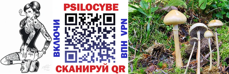 Галлюциногенные грибы мухоморы  Заозёрный 